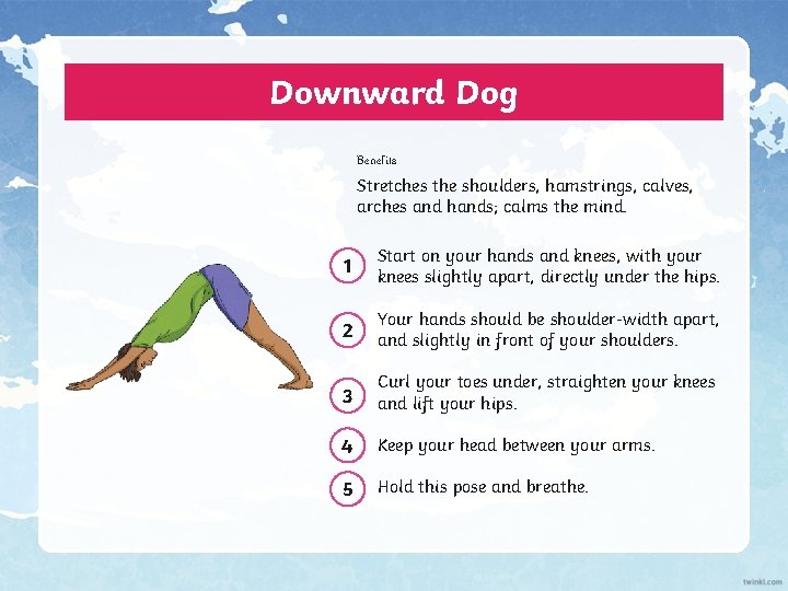 Downward Dog Benefits Stretches the shoulders, hamstrings, calves, arches and hands; calms the mind.