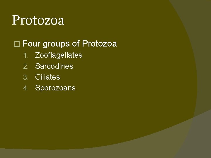 Protozoa � Four groups of Protozoa 1. Zooflagellates 2. Sarcodines 3. Ciliates 4. Sporozoans