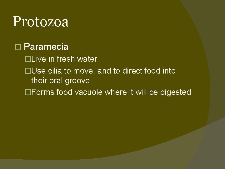 Protozoa � Paramecia �Live in fresh water �Use cilia to move, and to direct