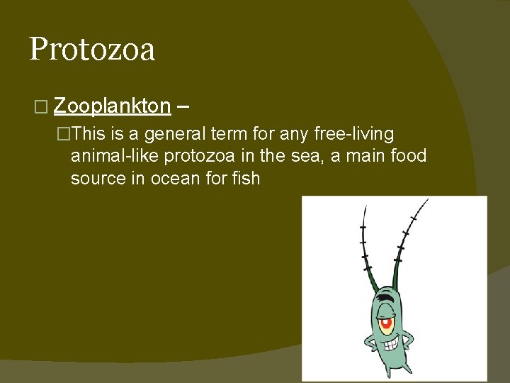Protozoa � Zooplankton – �This is a general term for any free-living animal-like protozoa