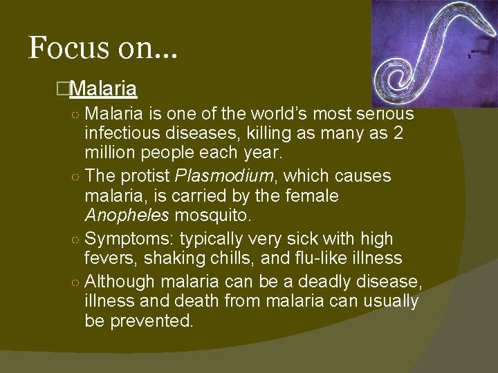 Focus on… �Malaria ○ Malaria is one of the world’s most serious infectious diseases,
