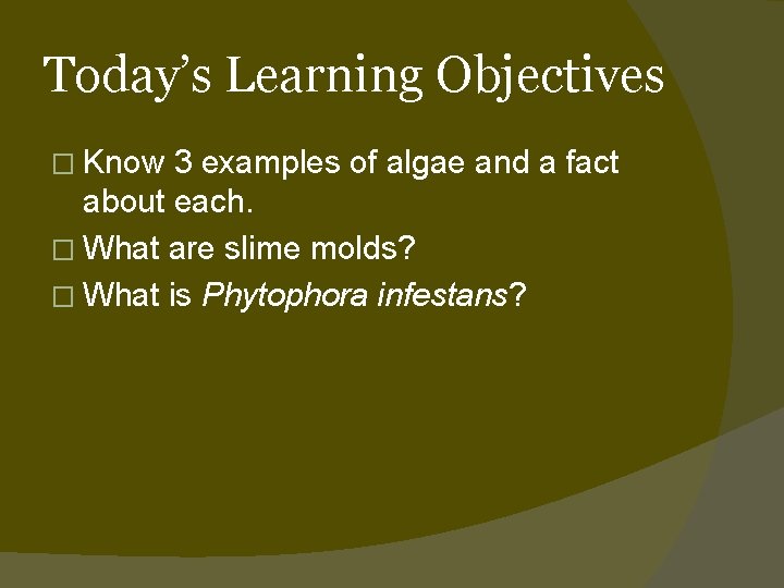 Today’s Learning Objectives � Know 3 examples of algae and a fact about each.