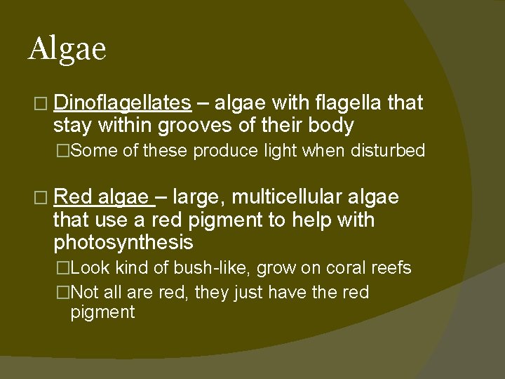 Algae � Dinoflagellates – algae with flagella that stay within grooves of their body