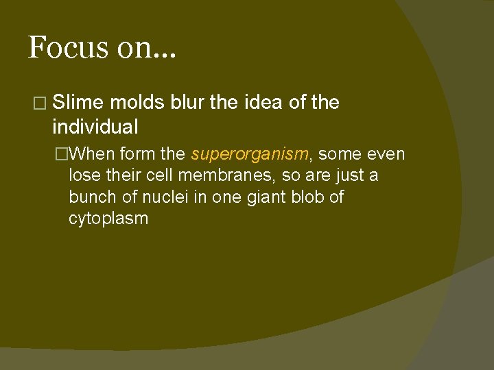Focus on… � Slime molds blur the idea of the individual �When form the