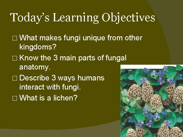 Today’s Learning Objectives � What makes fungi unique from other kingdoms? � Know the