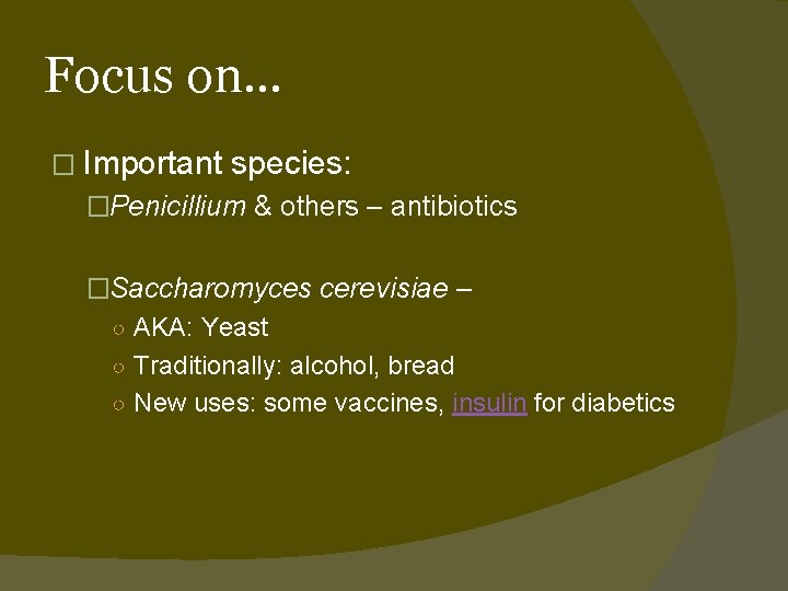 Focus on… � Important species: �Penicillium & others – antibiotics �Saccharomyces cerevisiae – ○