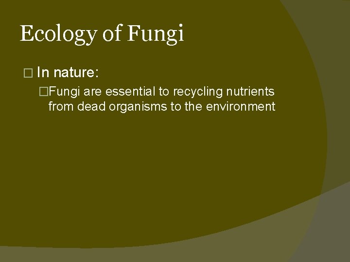 Ecology of Fungi � In nature: �Fungi are essential to recycling nutrients from dead