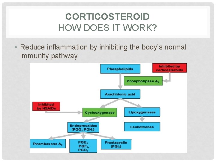 CORTICOSTEROID HOW DOES IT WORK? • Reduce inflammation by inhibiting the body’s normal immunity