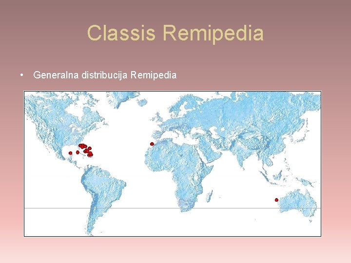 Classis Remipedia • Generalna distribucija Remipedia 