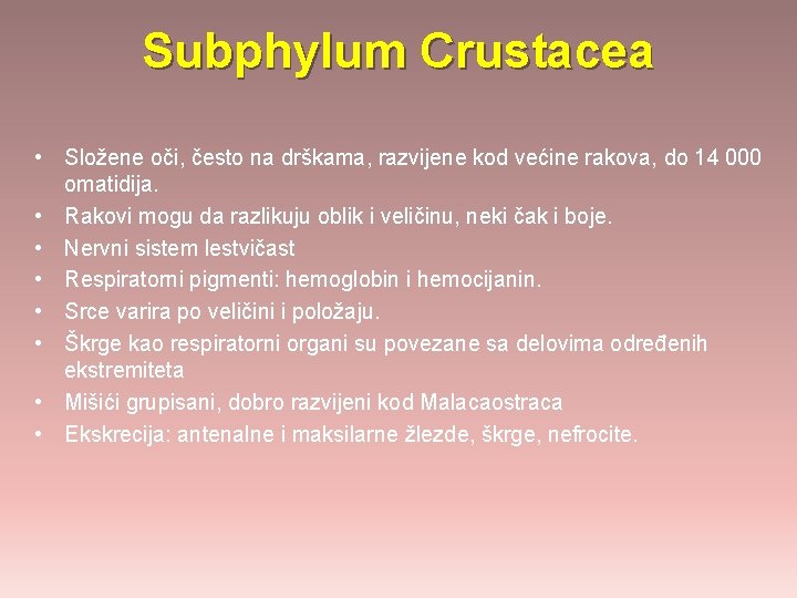 Subphylum Crustacea • Složene oči, često na drškama, razvijene kod većine rakova, do 14