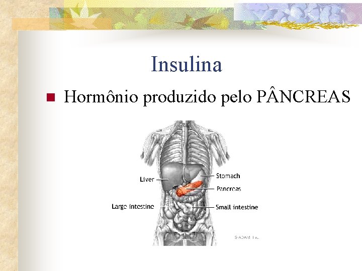 Insulina n Hormônio produzido pelo P NCREAS 