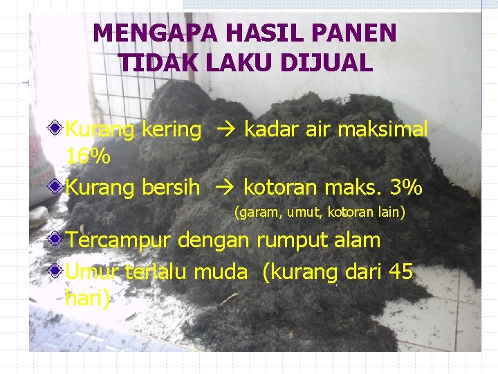 MENGAPA HASIL PANEN TIDAK LAKU DIJUAL Kurang kering kadar air maksimal 16% Kurang bersih