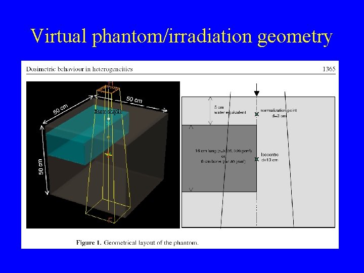 Virtual phantom/irradiation geometry 