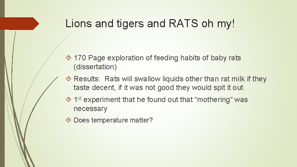 Lions and tigers and RATS oh my! 170 Page exploration of feeding habits of