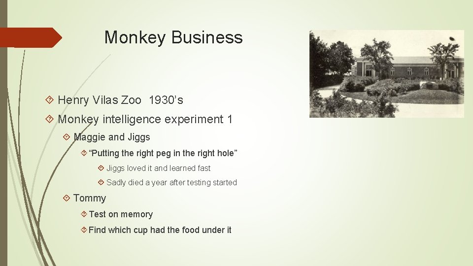 Monkey Business Henry Vilas Zoo 1930’s Monkey intelligence experiment 1 Maggie and Jiggs “Putting