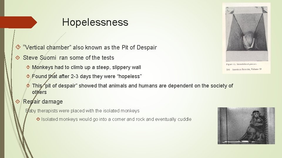 Hopelessness “Vertical chamber” also known as the Pit of Despair Steve Suomi ran some