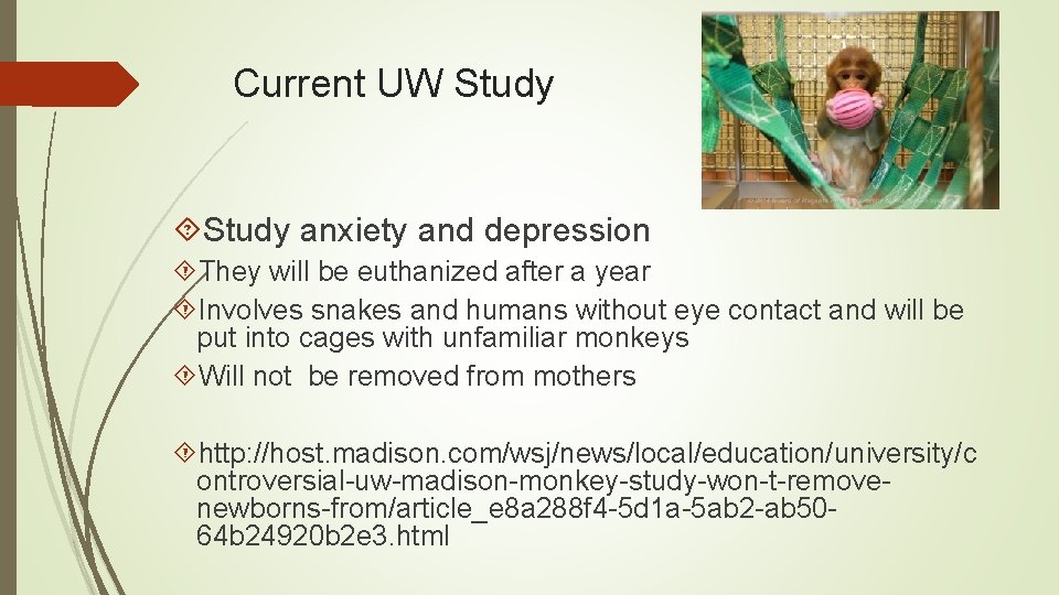 Current UW Study anxiety and depression They will be euthanized after a year Involves