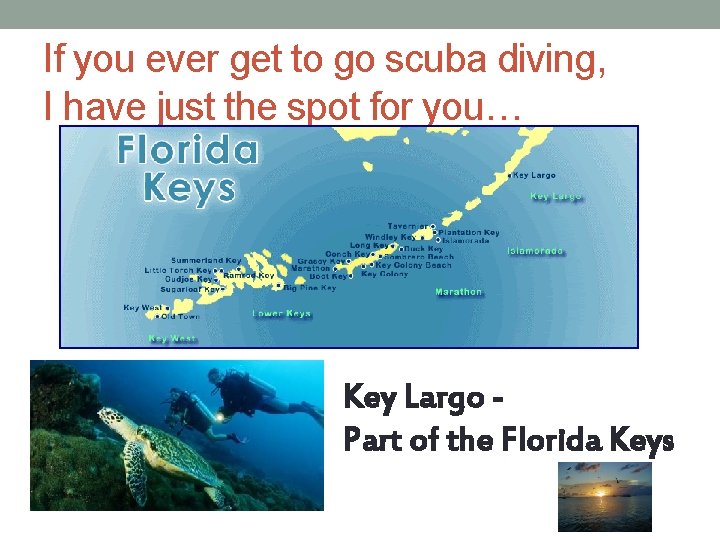 If you ever get to go scuba diving, I have just the spot for