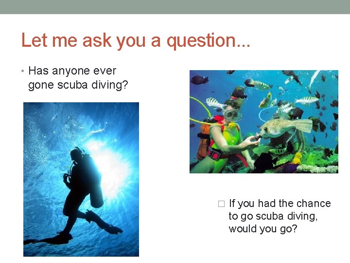 Let me ask you a question. . . • Has anyone ever gone scuba