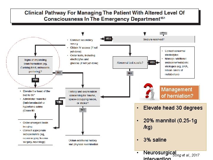Management of herniation? • Elevate head 30 degrees • 20% mannitol (0. 25 -1