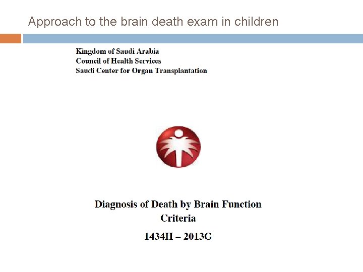 Approach to the brain death exam in children 