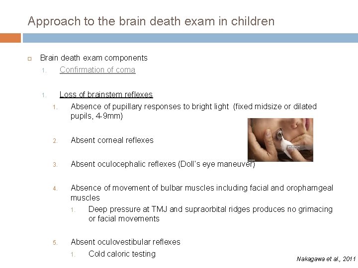 Approach to the brain death exam in children Brain death exam components 1. Confirmation