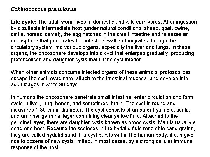 Echinococcus granulosus Life cycle: The adult worm lives in domestic and wild carnivores. After