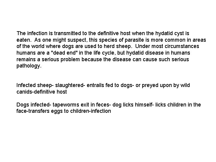 The infection is transmitted to the definitive host when the hydatid cyst is eaten.