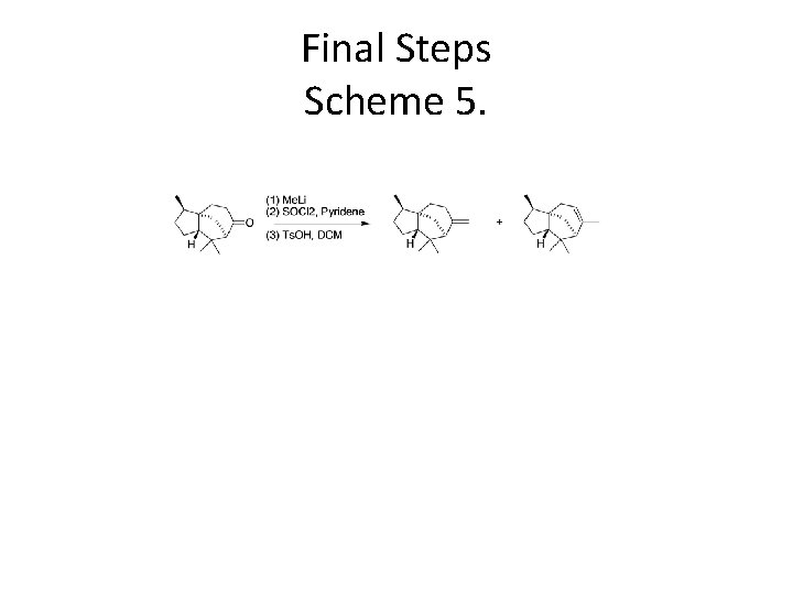 Final Steps Scheme 5. 