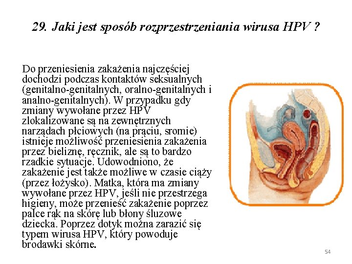 29. Jaki jest sposób rozprzestrzeniania wirusa HPV ? Do przeniesienia zakażenia najczęściej dochodzi podczas