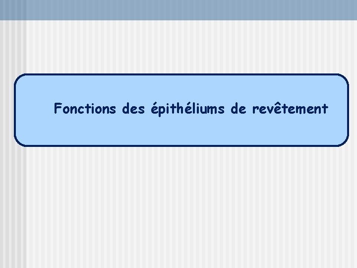  Fonctions des épithéliums de revêtement 