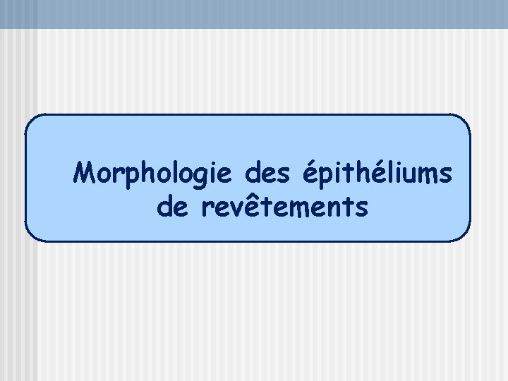 Morphologie des épithéliums de revêtements 