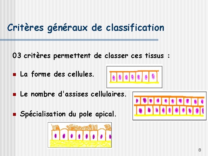 Critères généraux de classification 03 critères permettent de classer ces tissus : n La