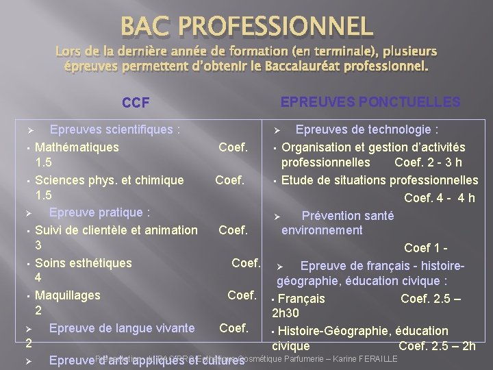 BAC PROFESSIONNEL Lors de la dernière année de formation (en terminale), plusieurs épreuves permettent