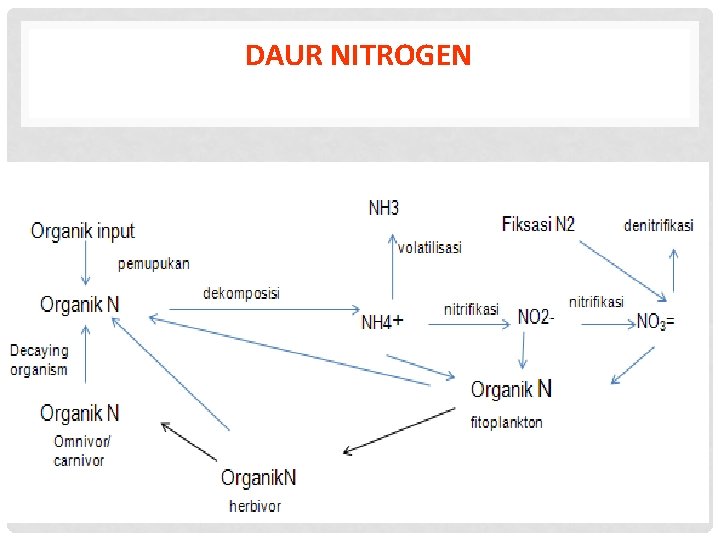 DAUR NITROGEN 