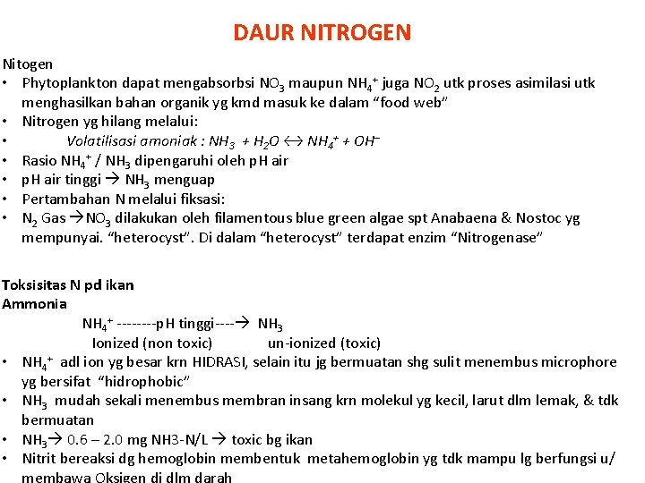 DAUR NITROGEN Nitogen • Phytoplankton dapat mengabsorbsi NO 3 maupun NH 4+ juga NO