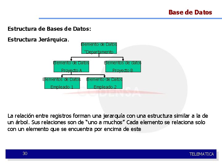 Base de Datos Estructura de Bases de Datos: Estructura Jerárquica. Elemento de Datos “Departamento