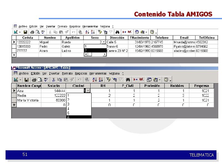 Contenido Tabla AMIGOS 51 TELEMATICA 