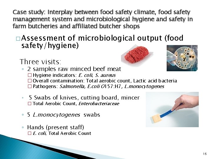 Case study: Interplay between food safety climate, food safety management system and microbiological hygiene