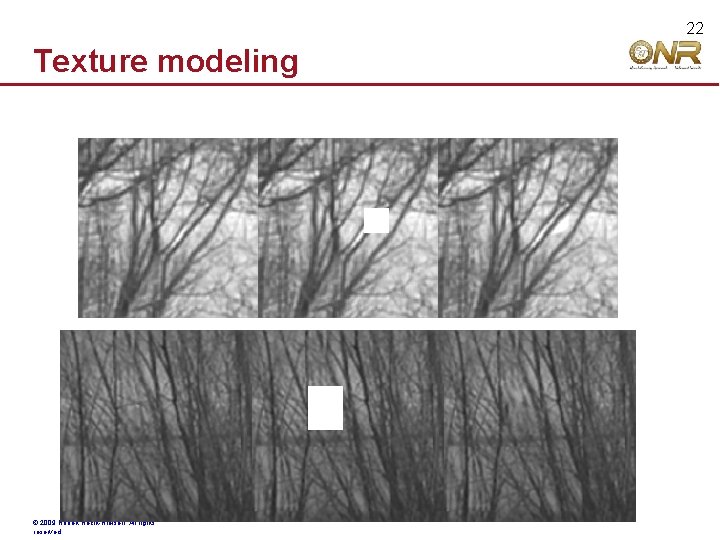 22 Texture modeling © 2009 Robert Hecht-Nielsen. All rights reserved. 