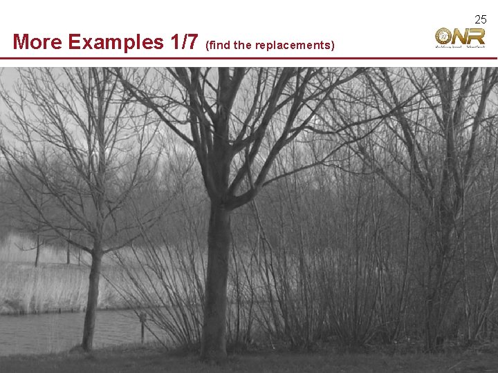 25 More Examples 1/7 © 2009 Robert Hecht-Nielsen. All rights reserved. (find the replacements)