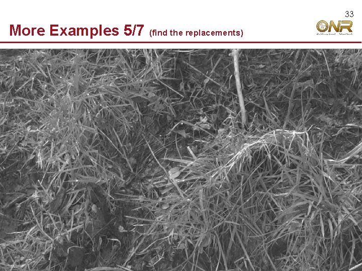 33 More Examples 5/7 © 2009 Robert Hecht-Nielsen. All rights reserved. (find the replacements)