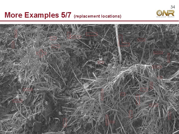 34 More Examples 5/7 © 2009 Robert Hecht-Nielsen. All rights reserved. (replacement locations) 