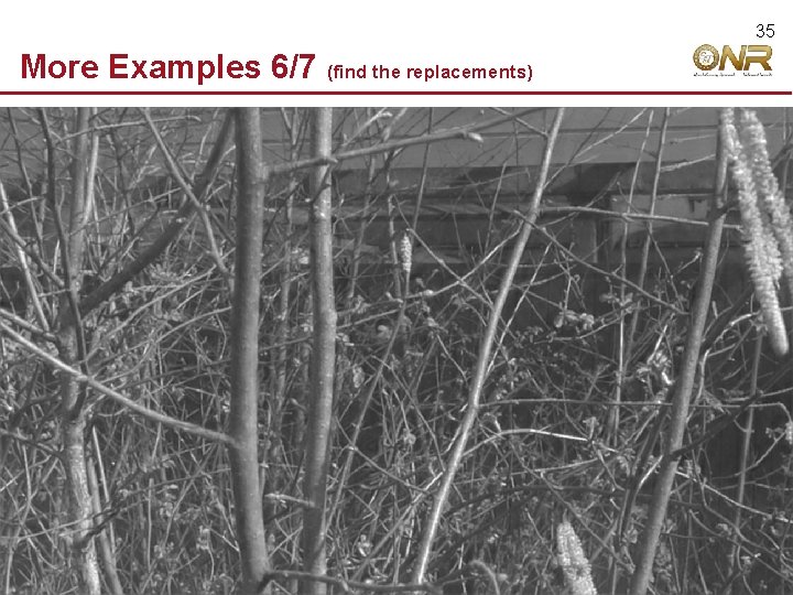 35 More Examples 6/7 © 2009 Robert Hecht-Nielsen. All rights reserved. (find the replacements)