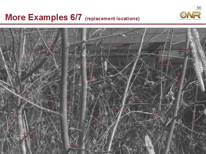 36 More Examples 6/7 © 2009 Robert Hecht-Nielsen. All rights reserved. (replacement locations) 