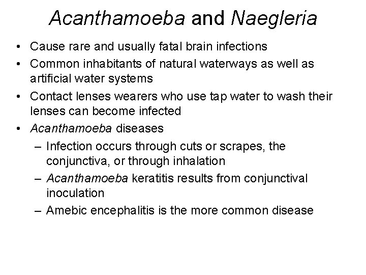 Acanthamoeba and Naegleria • Cause rare and usually fatal brain infections • Common inhabitants