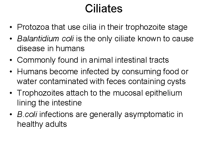 Ciliates • Protozoa that use cilia in their trophozoite stage • Balantidium coli is