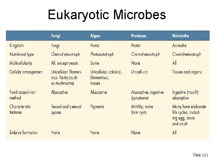Eukaryotic Microbes Table 12. 1 Eukaryotic Microbes Table 12. 1