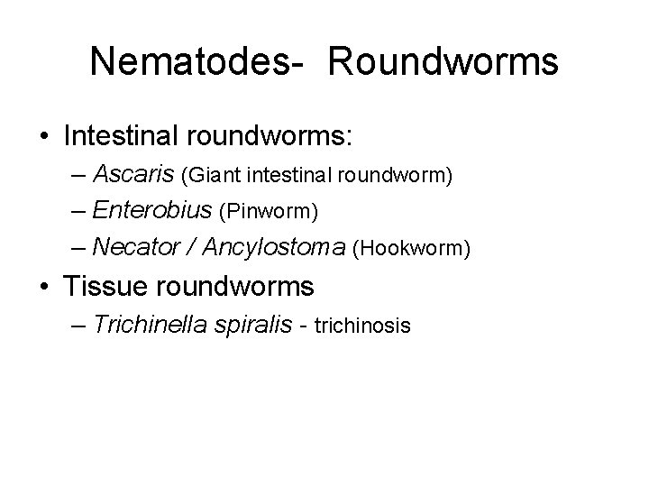 Nematodes- Roundworms • Intestinal roundworms: – Ascaris (Giant intestinal roundworm) – Enterobius (Pinworm) –