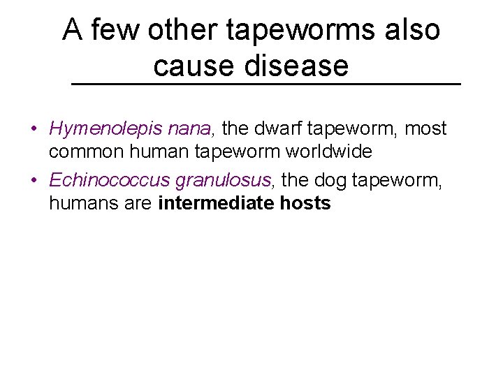 A few other tapeworms also cause disease • Hymenolepis nana, the dwarf tapeworm, most